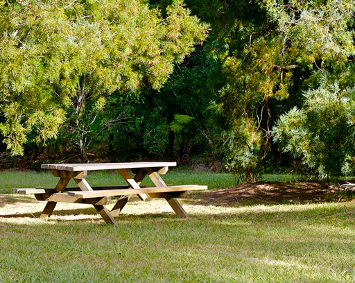 Wooden-picnic-table-in-a-park-near-trees- in an open park